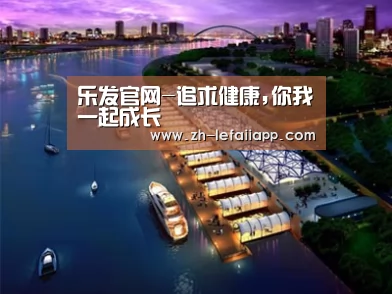 案例展示八