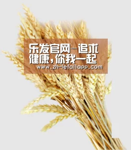 乐发官网-追求健康,你我一起成长
