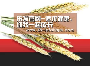 乐发官网-追求健康,你我一起成长