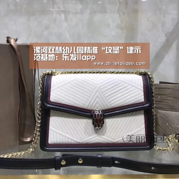 漯河双慧幼儿园精准“攻坚”建示范基地:乐发IIapp(图3) 乐发IIapp