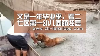 又是一年毕业季,看二七区第一幼儿园萌娃怎样度过?|乐发IIapp(图1) 乐发IIapp