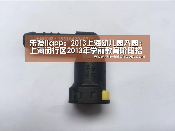 乐发IIapp:2013上海幼儿园入园:上海闵行区2013年学前教育阶段招生工作意见(图4) 乐发IIapp