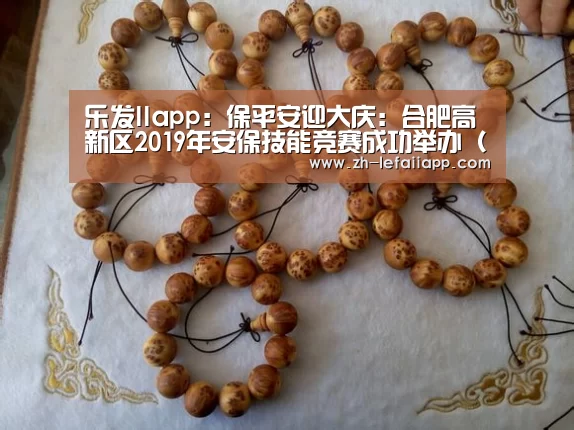乐发IIapp:保平安迎大庆:合肥高新区2019年安保技能竞赛成功举办(组图)(图2) 乐发IIapp
