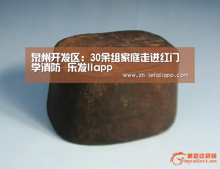 泉州开发区:30余组家庭走进红门学消防-乐发IIapp(图3) 乐发IIapp