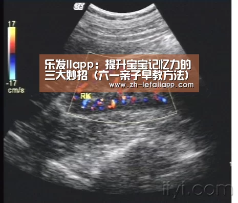 乐发IIapp