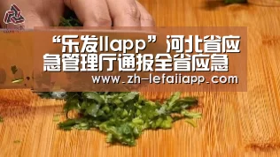 “乐发IIapp”河北省应急管理厅通报全省应急管理系统行政执法情况(图1) 乐发IIapp