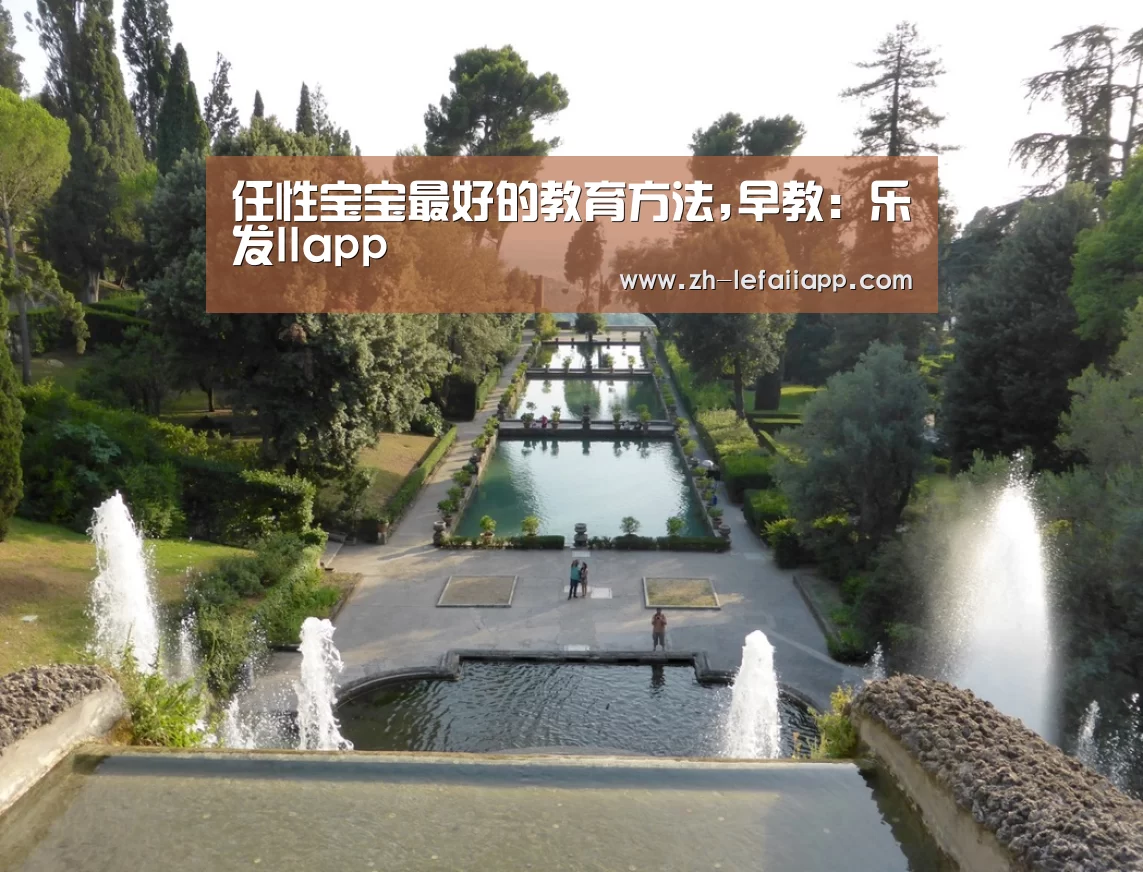 乐发IIapp
