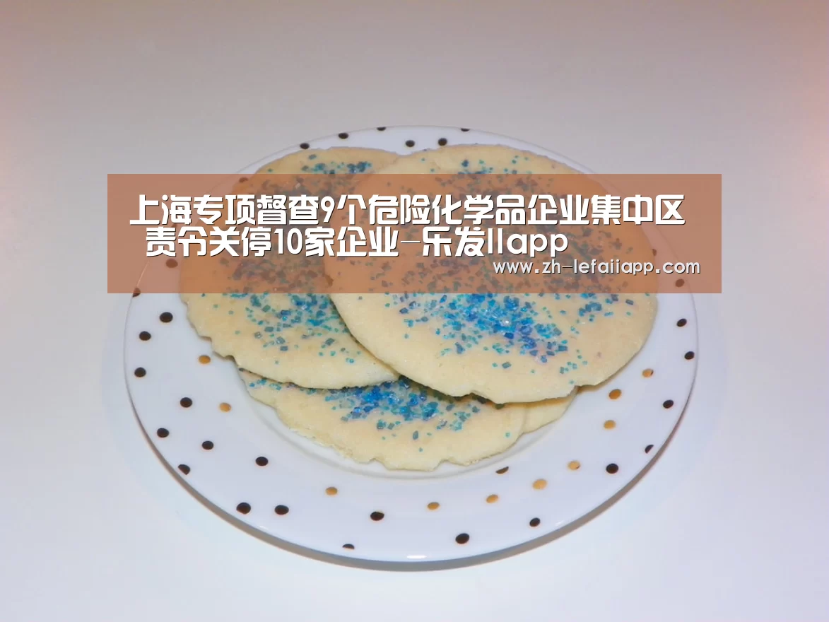 上海专项督查9个危险化学品企业集中区 责令关停10家企业-乐发IIapp(图1) 乐发IIapp