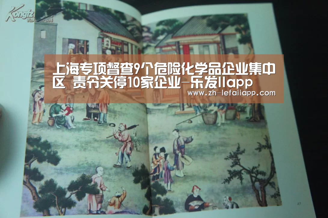 上海专项督查9个危险化学品企业集中区 责令关停10家企业-乐发IIapp(图4) 乐发IIapp