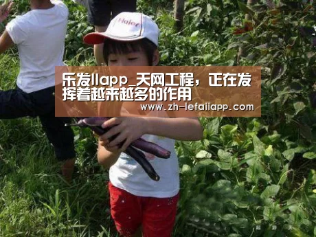 乐发IIapp_天网工程,正在发挥着越来越多的作用(图2) 乐发IIapp