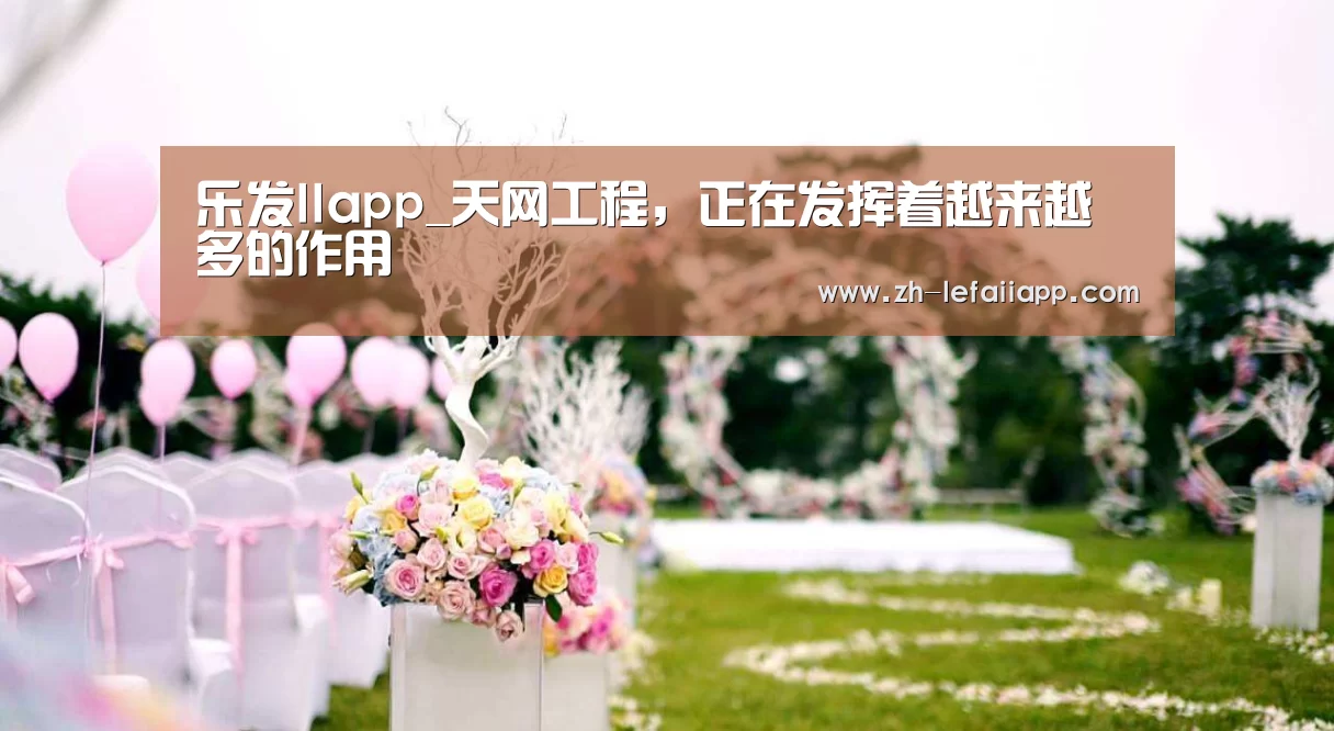 乐发IIapp_天网工程,正在发挥着越来越多的作用(图1) 乐发IIapp
