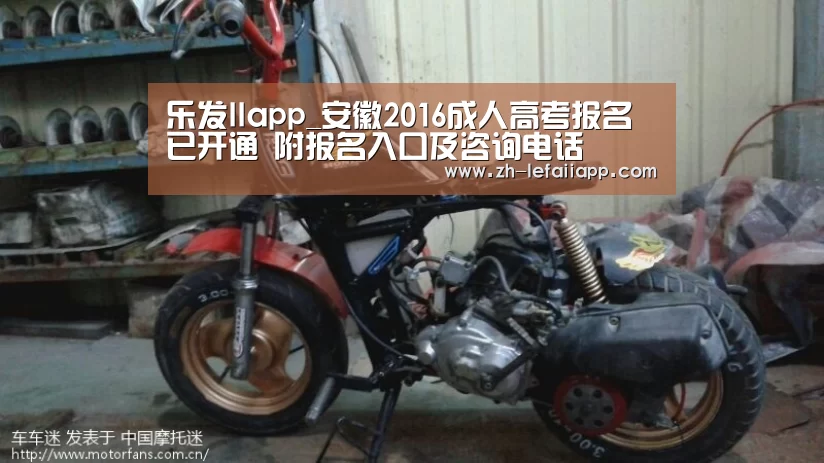 乐发IIapp_安徽2016成人高考报名已开通 附报名入口及咨询电话(图1) 乐发IIapp