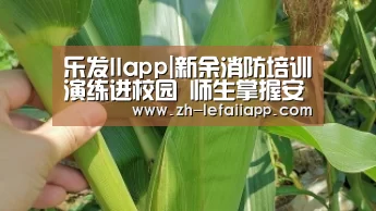 乐发IIapp|新余消防培训演练进校园 师生掌握安全逃生技能(图2) 乐发IIapp