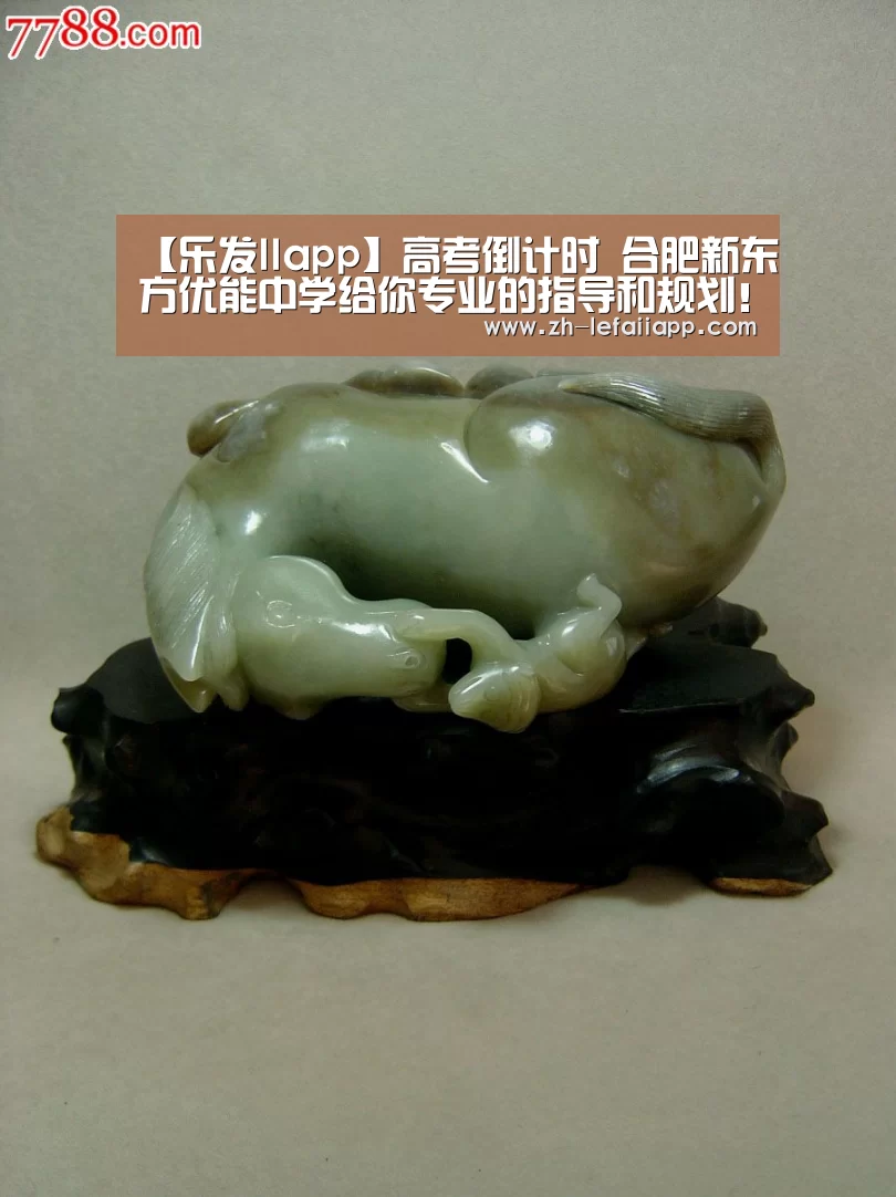 【乐发IIapp】高考倒计时 合肥新东方优能中学给你专业的指导和规划!(图1) 乐发IIapp