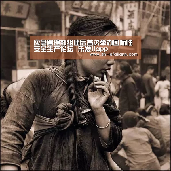 应急管理部组建后首次举办国际性安全生产论坛-乐发IIapp(图2) 乐发IIapp