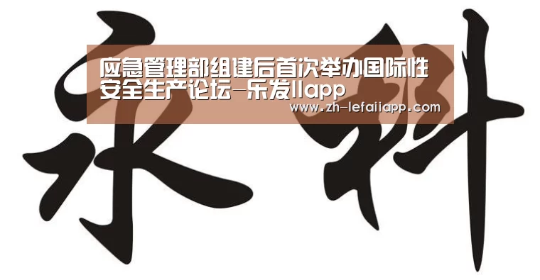 应急管理部组建后首次举办国际性安全生产论坛-乐发IIapp(图3) 乐发IIapp