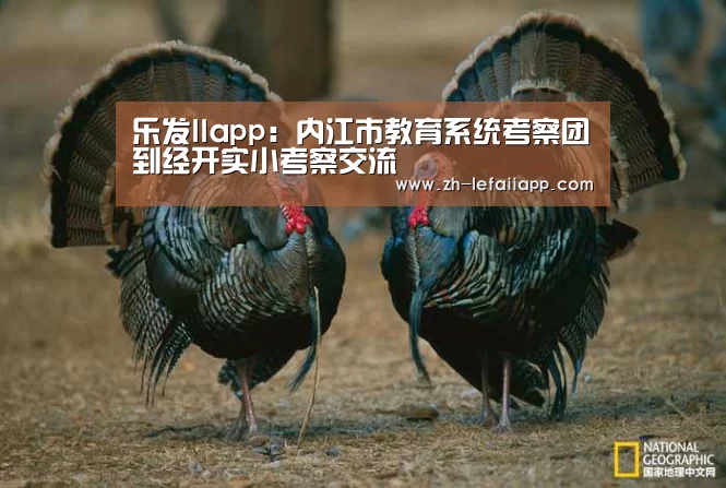 乐发IIapp:内江市教育系统考察团到经开实小考察交流(图1) 乐发IIapp