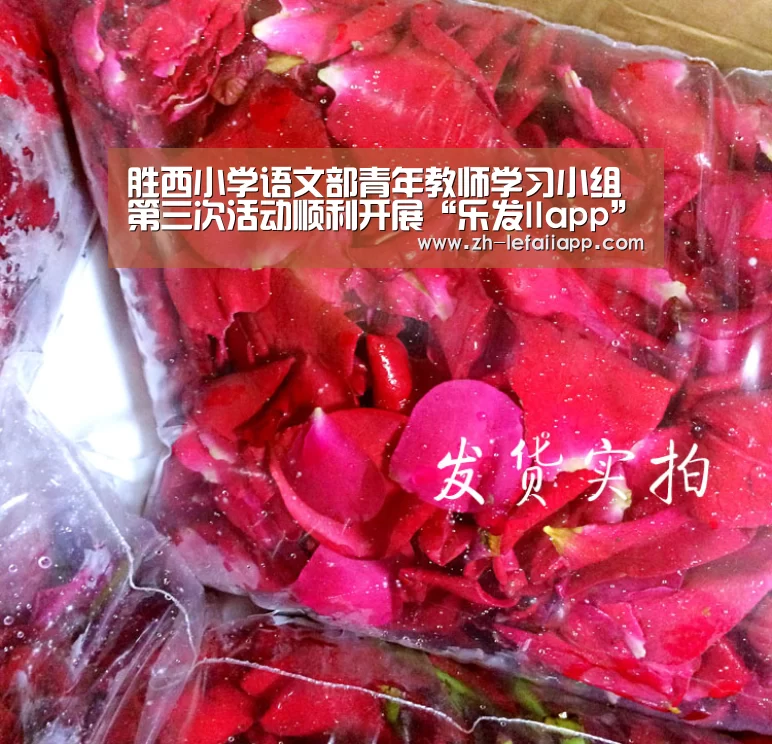 胜西小学语文部青年教师学习小组第三次活动顺利开展“乐发IIapp”(图3) 乐发IIapp